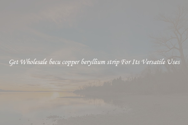 Get Wholesale becu copper beryllium strip For Its Versatile Uses