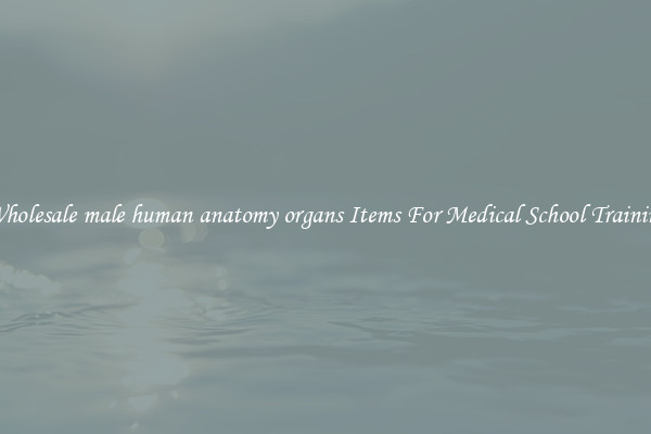 Wholesale male human anatomy organs Items For Medical School Training