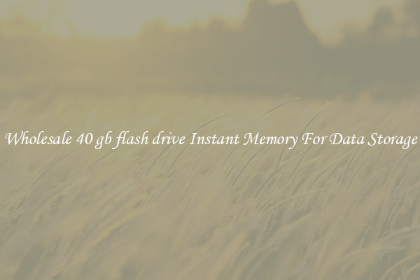 Wholesale 40 gb flash drive Instant Memory For Data Storage