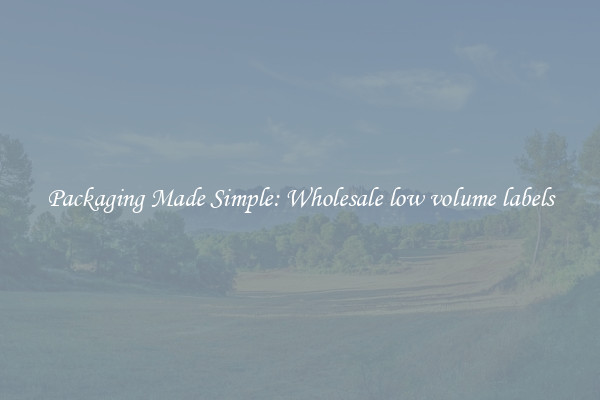 Packaging Made Simple: Wholesale low volume labels