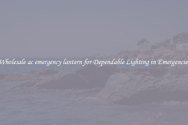 Wholesale ac emergency lantern for Dependable Lighting in Emergencies