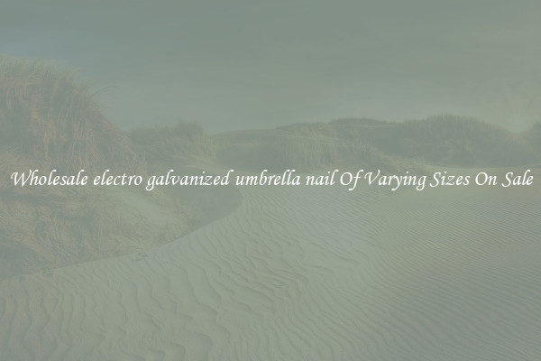 Wholesale electro galvanized umbrella nail Of Varying Sizes On Sale