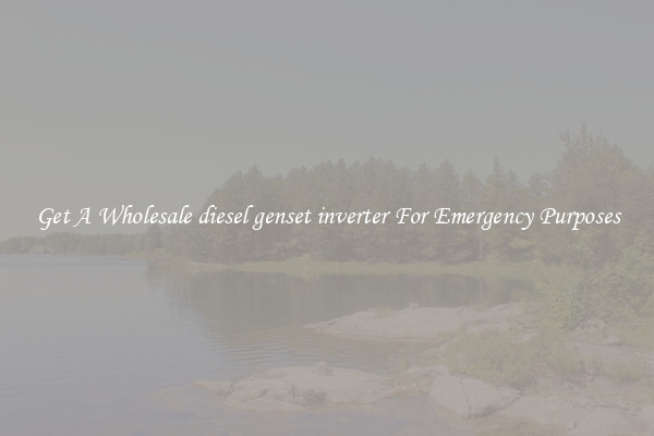 Get A Wholesale diesel genset inverter For Emergency Purposes