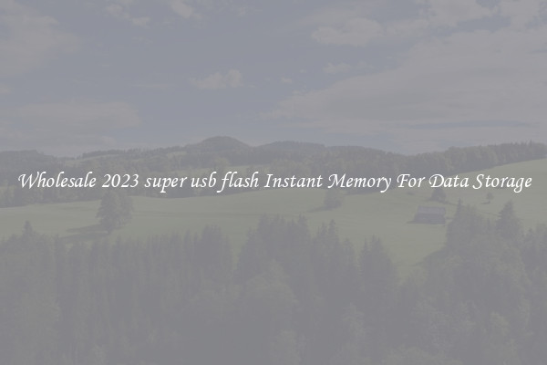 Wholesale 2023 super usb flash Instant Memory For Data Storage