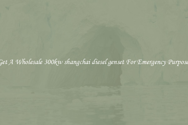 Get A Wholesale 300kw shangchai diesel genset For Emergency Purposes