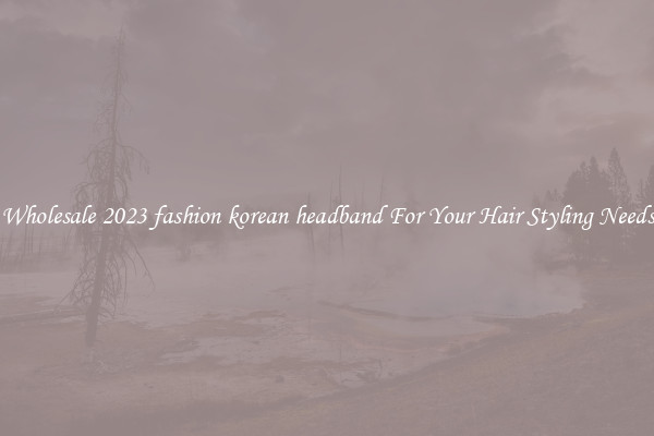 Wholesale 2023 fashion korean headband For Your Hair Styling Needs