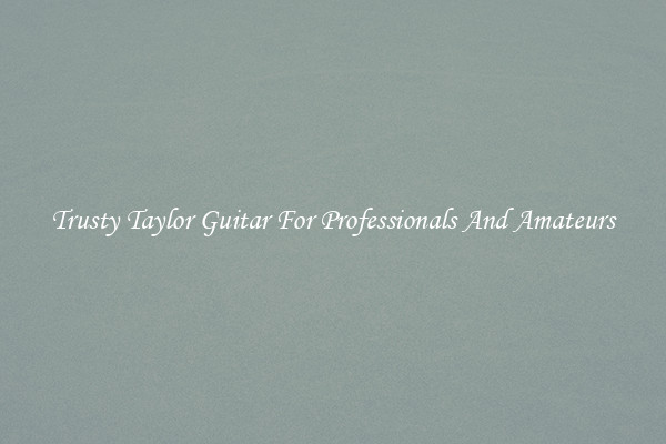Trusty Taylor Guitar For Professionals And Amateurs