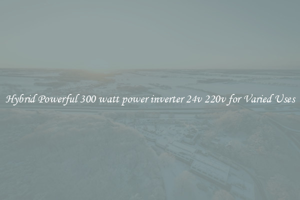 Hybrid Powerful 300 watt power inverter 24v 220v for Varied Uses