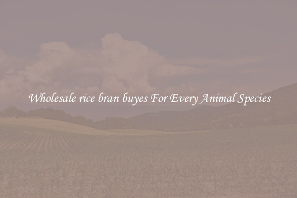 Wholesale rice bran buyes For Every Animal Species
