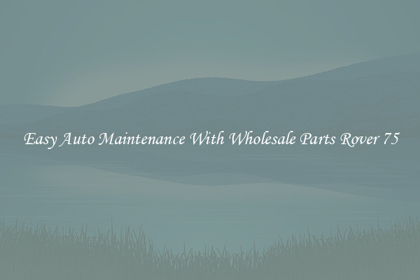 Easy Auto Maintenance With Wholesale Parts Rover 75