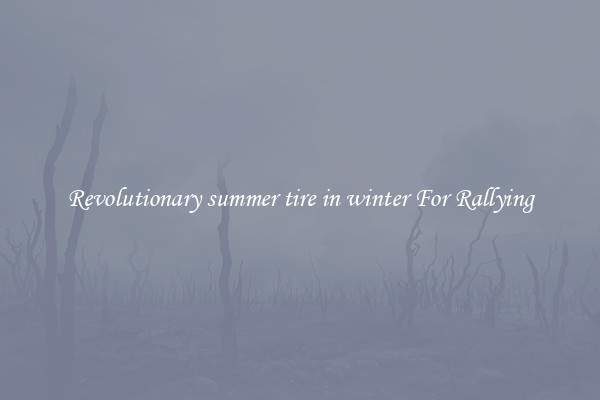 Revolutionary summer tire in winter For Rallying