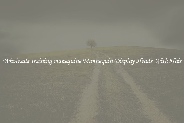 Wholesale training manequine Mannequin Display Heads With Hair