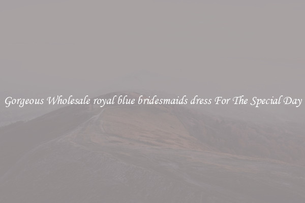 Gorgeous Wholesale royal blue bridesmaids dress For The Special Day