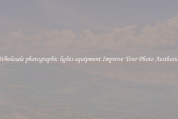 Wholesale photographic lights equipment Improve Your Photo Aesthetics