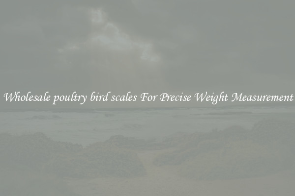 Wholesale poultry bird scales For Precise Weight Measurement