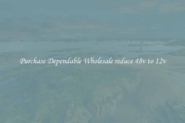 Purchase Dependable Wholesale reduce 48v to 12v