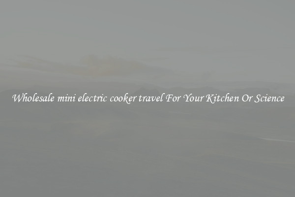 Wholesale mini electric cooker travel For Your Kitchen Or Science