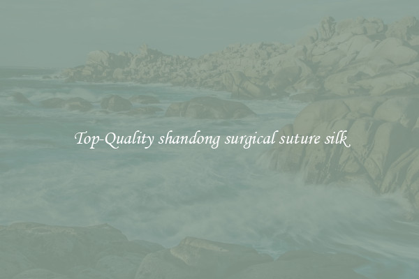 Top-Quality shandong surgical suture silk
