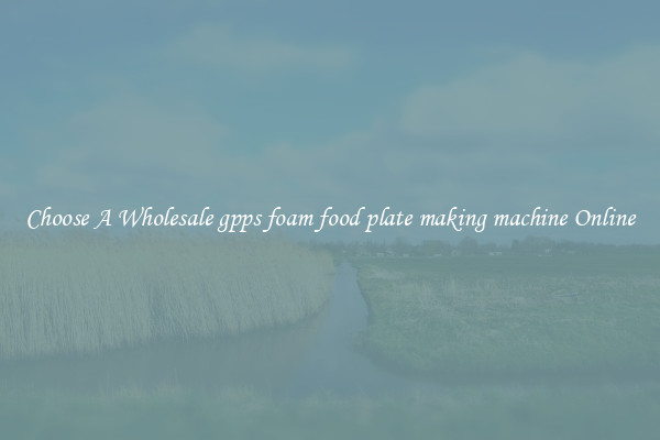 Choose A Wholesale gpps foam food plate making machine Online