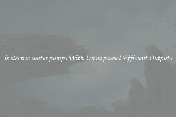 is electric water pumps With Unsurpassed Efficient Outputs