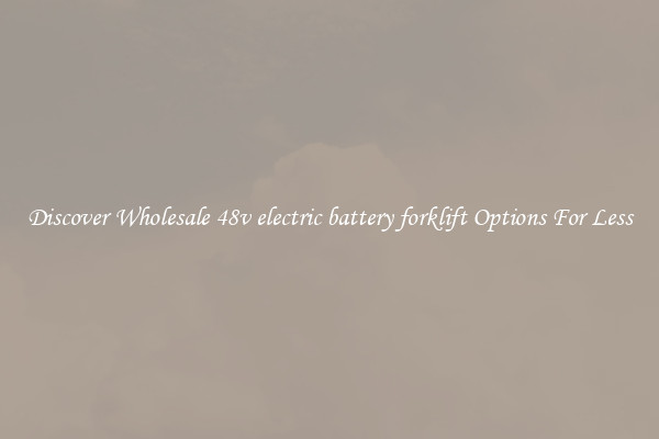 Discover Wholesale 48v electric battery forklift Options For Less