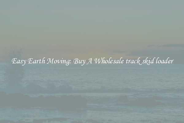 Easy Earth Moving: Buy A Wholesale track skid loader